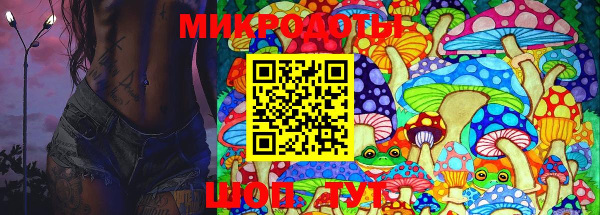 Псилоцибиновые грибы Cubensis Белорецк